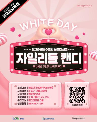 내가 만드는 자일리톨 캔디